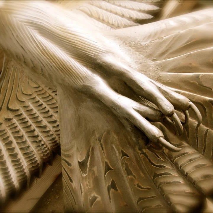 Sguardo magnifico dell'allocco in edizione artistica