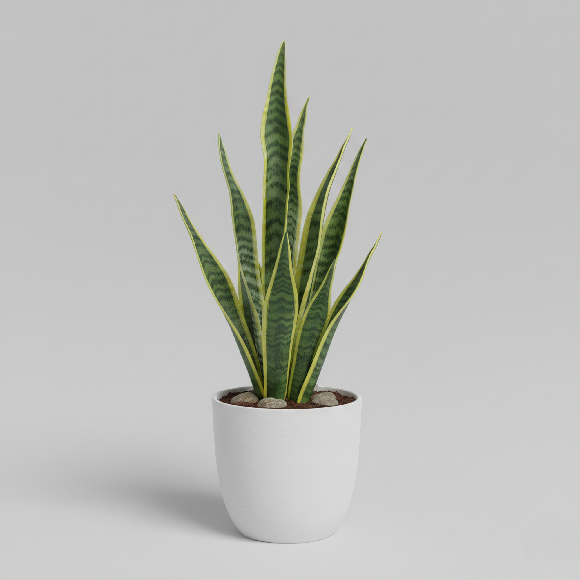 Gabriela - Pianta artificiale