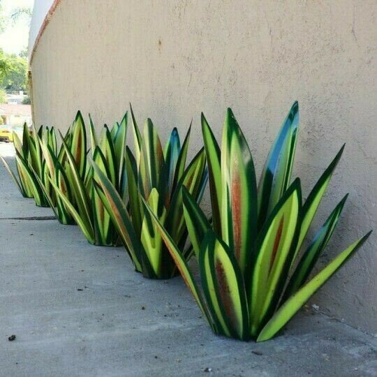 Piante di Agave Tequila in Metallo Antiruggine