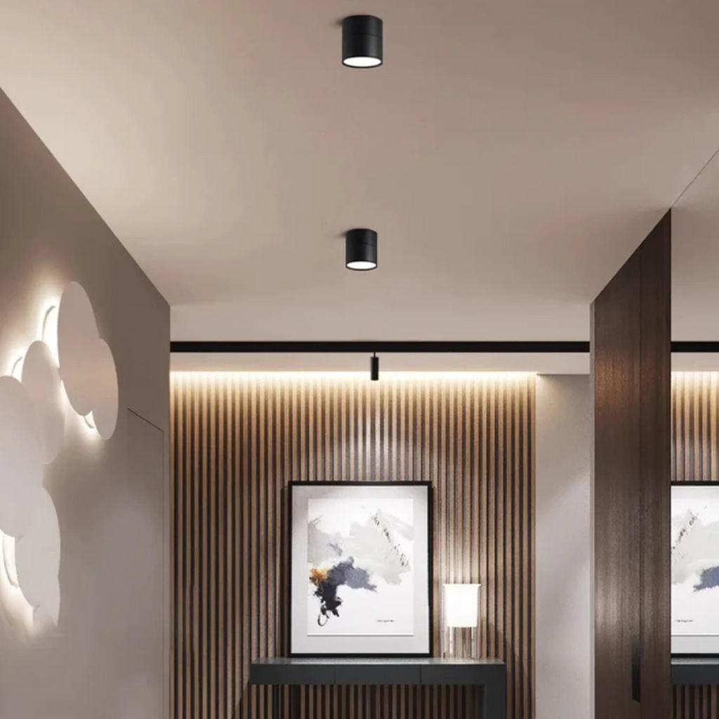 Somos - Lampada da soffitto LED regolabile