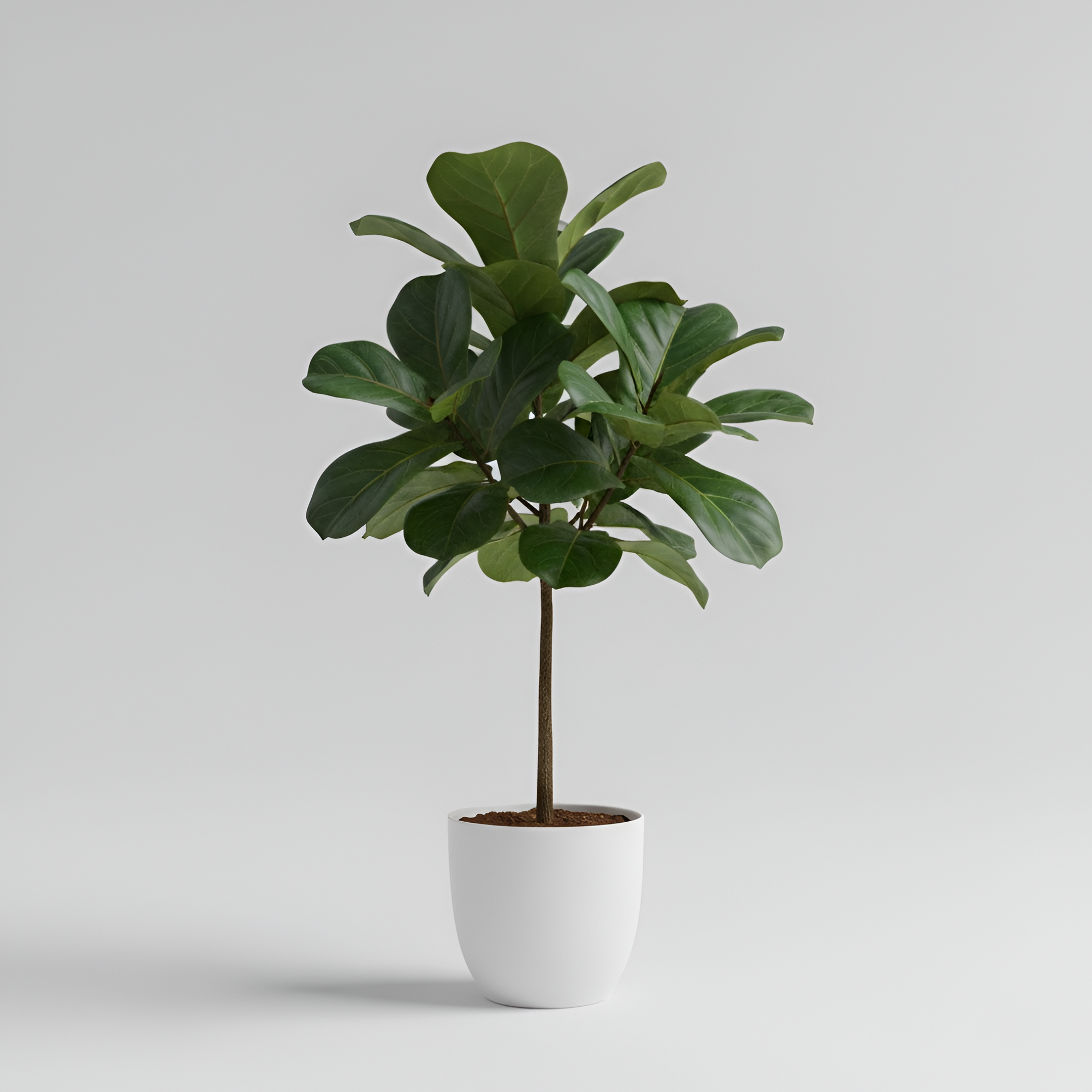 Carol - Pianta artificiale