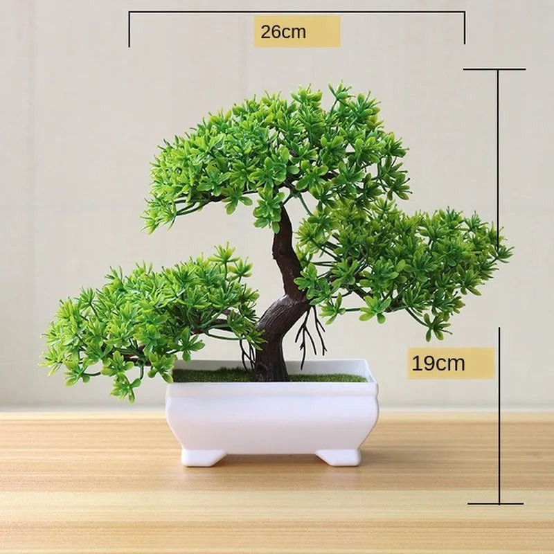 Skanto | Piccola Tre Pot Pot Bonsai