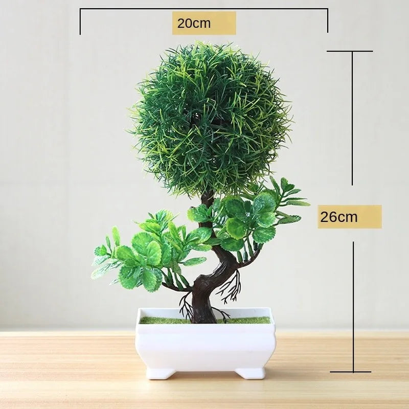Skanto | Piccola Tre Pot Pot Bonsai