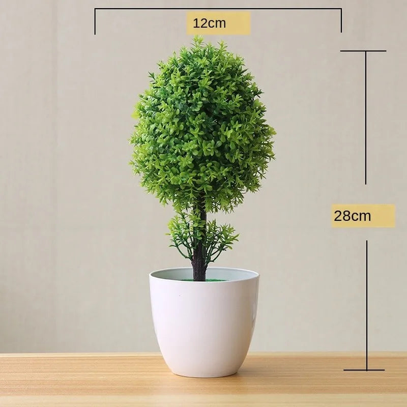 Skanto | Piccola Tre Pot Pot Bonsai