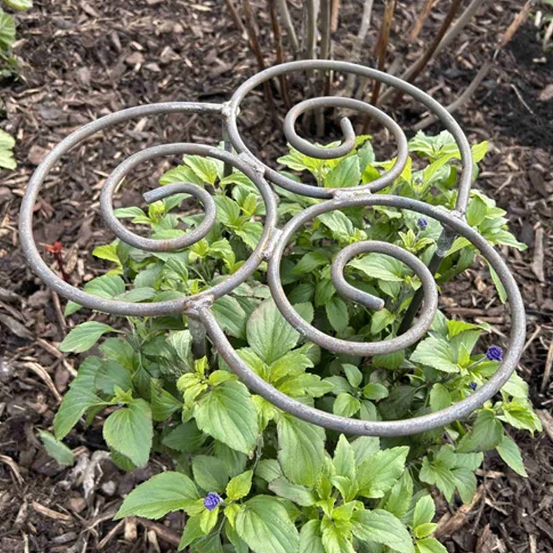 Supporto per piante in metallo fatto a mano | Design a spirale | Resistente alle intemperie | StemRise