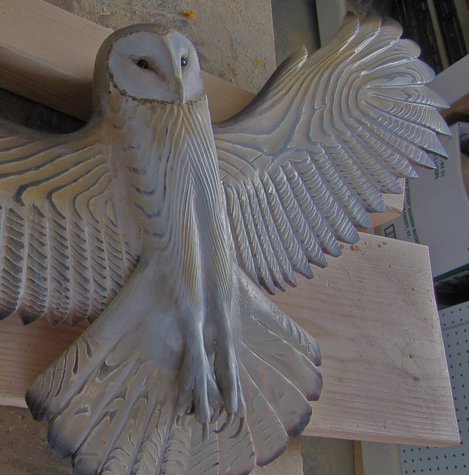 Sguardo magnifico dell'allocco in edizione artistica