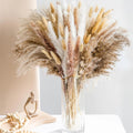 Skanto | 105 pezzi Fiori Secchi Naturali Bouquet di Erba Pampas