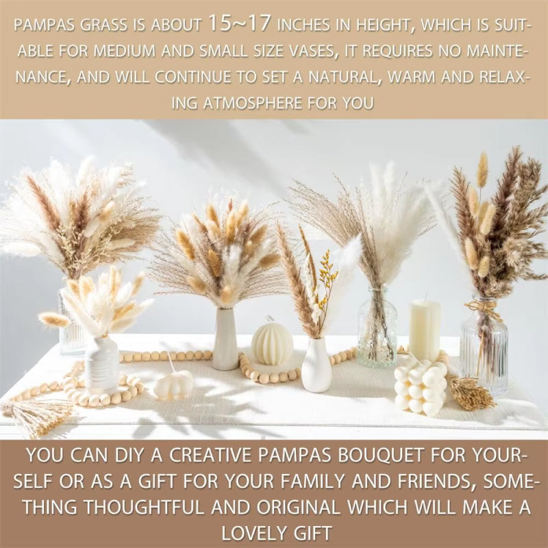 Skanto | 105 pezzi Fiori Secchi Naturali Bouquet di Erba Pampas