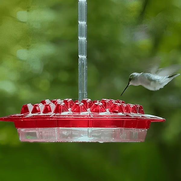 Mangiatore per Colibrì con Moat Anticrittogamico